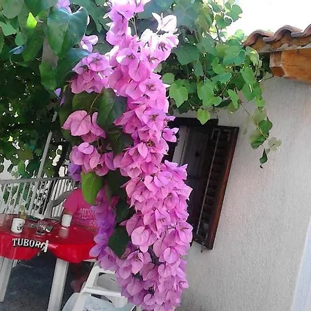 Zora Holiday home *